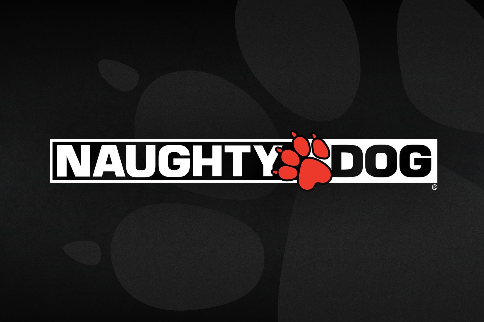 naughty dog